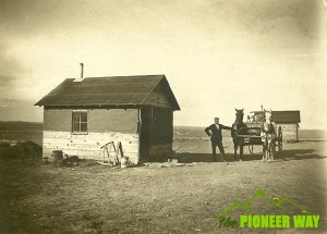 Pioneer Memories - My great grandfather and his team of horses out on the farm in Mitchell, South Dakota.